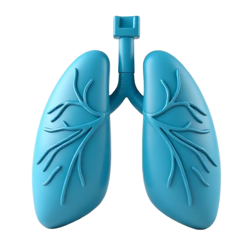 Asthma & Breathing Problems 3D icon