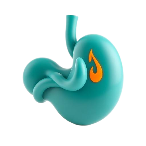 Gastric & Acidity 3D icon